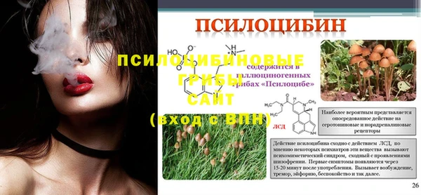 тгк Алексеевка