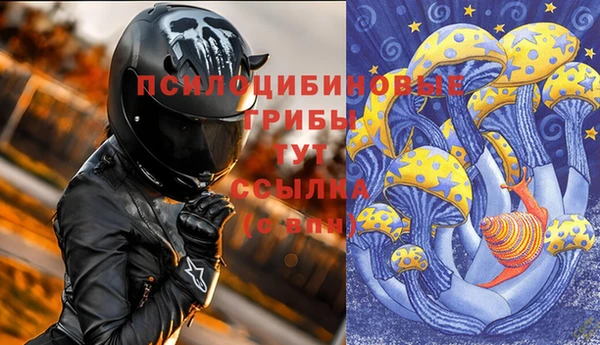 тгк Алексеевка